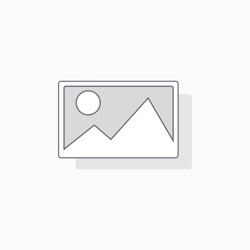 Registrace web name